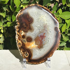 Hues of a Rainbow Agate Slice
