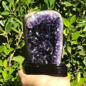 Refined Uruguayan Amethyst Freeform