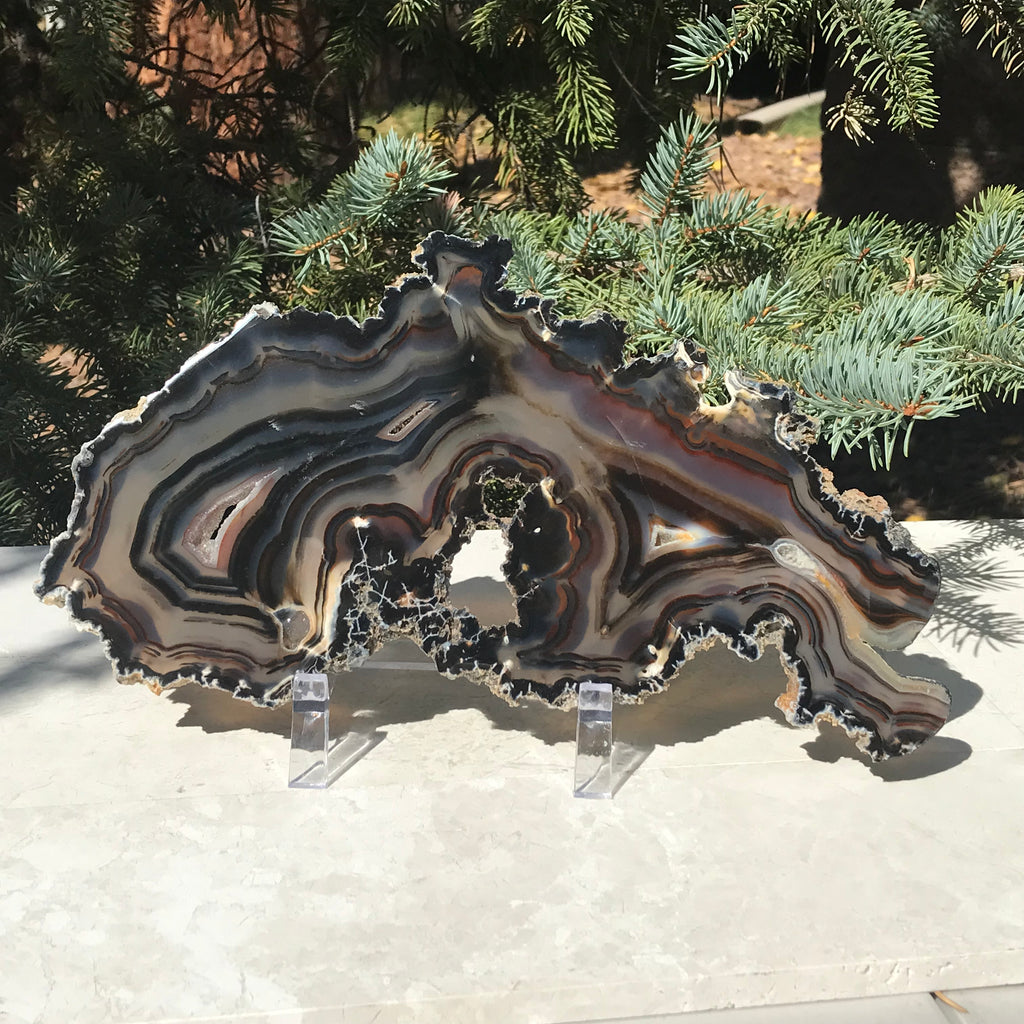Multitude of Black Banding Agate Slice