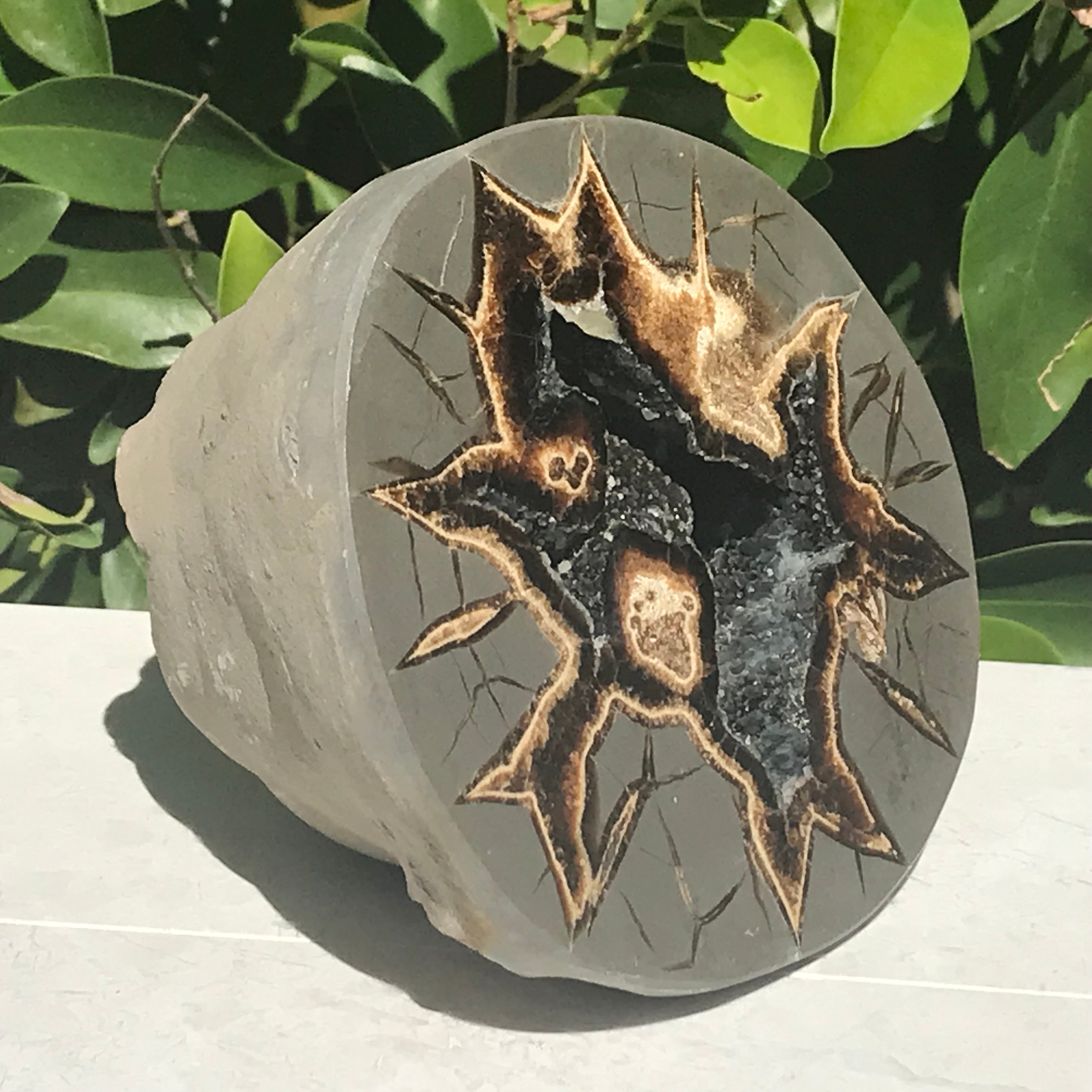 Black Crystal Lined Septarian Geode