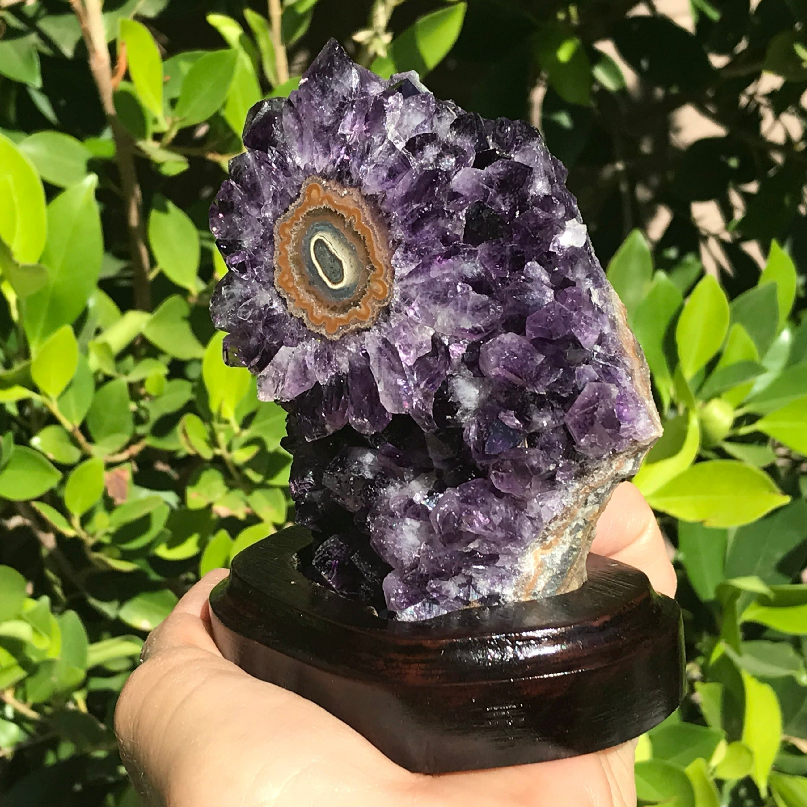 Amethyst Cluster with Magnifient Stalactite Eye
