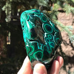 Prominant Orbbed Malachite with Chrysocolla