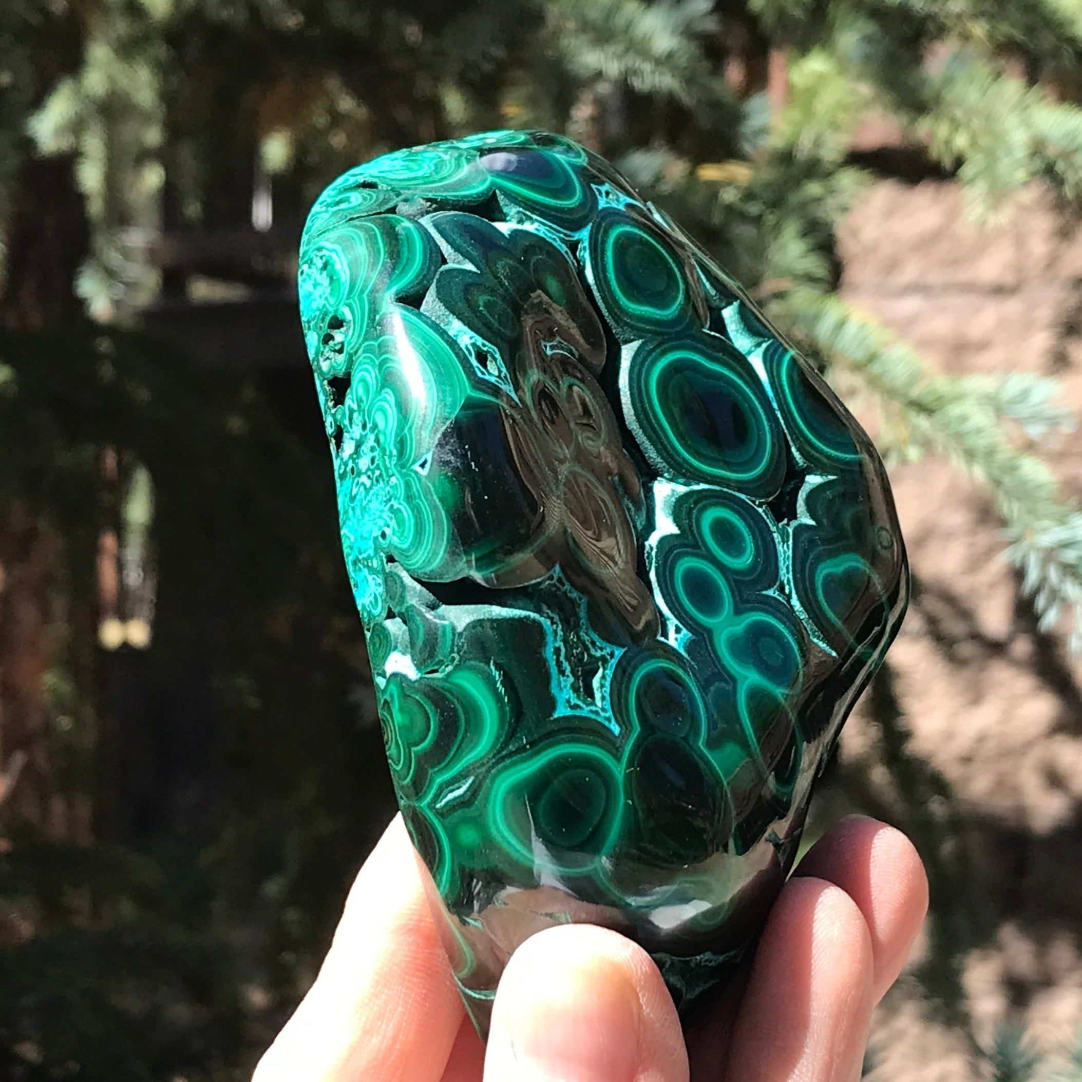 Prominant Orbbed Malachite with Chrysocolla