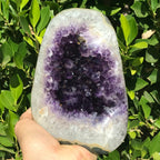 Elegant Amethyst Geode