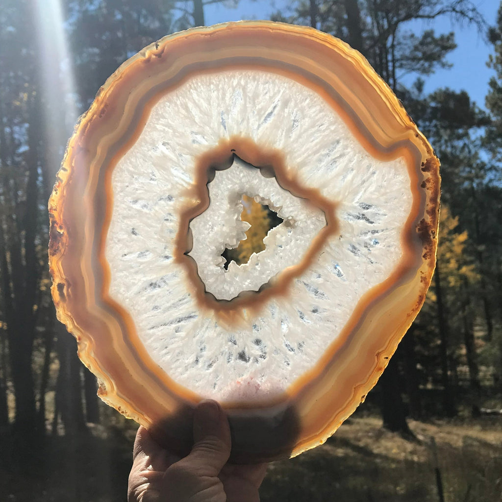 Consecutive Agate Slice #2