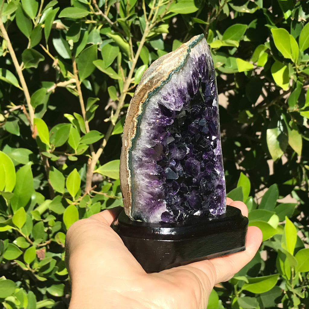 Refined Uruguayan Amethyst Freeform