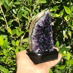 Refined Uruguayan Amethyst Freeform