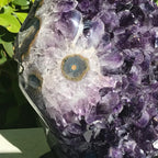 Single Eyed Amethyst Freeform