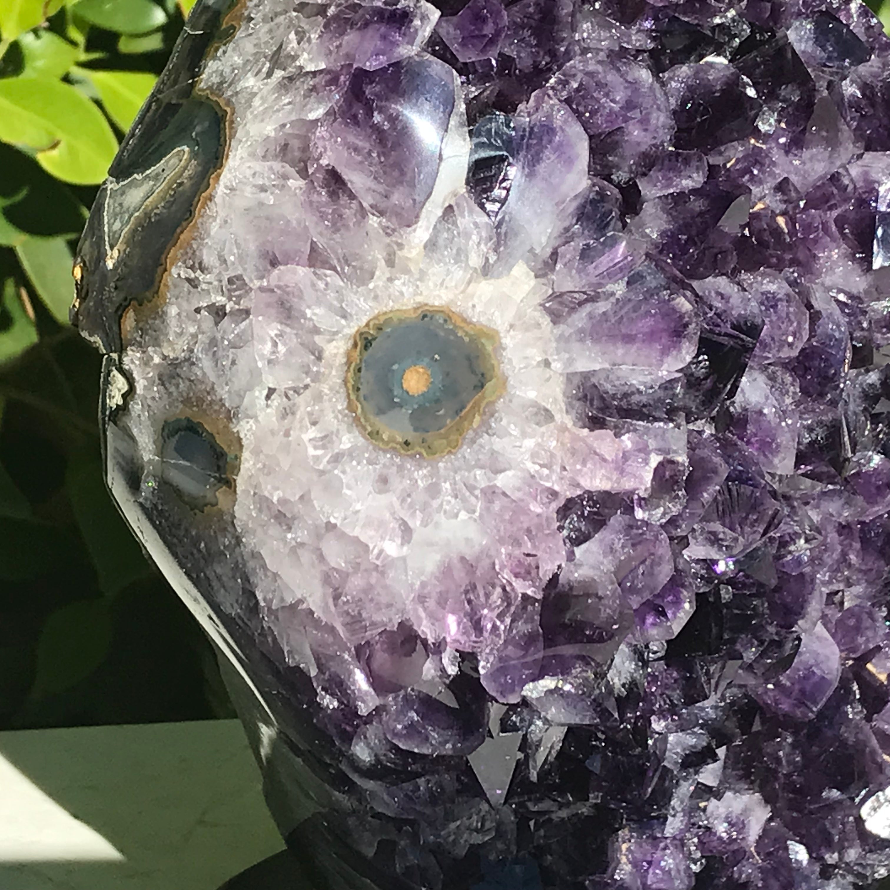Single Eyed Amethyst Freeform