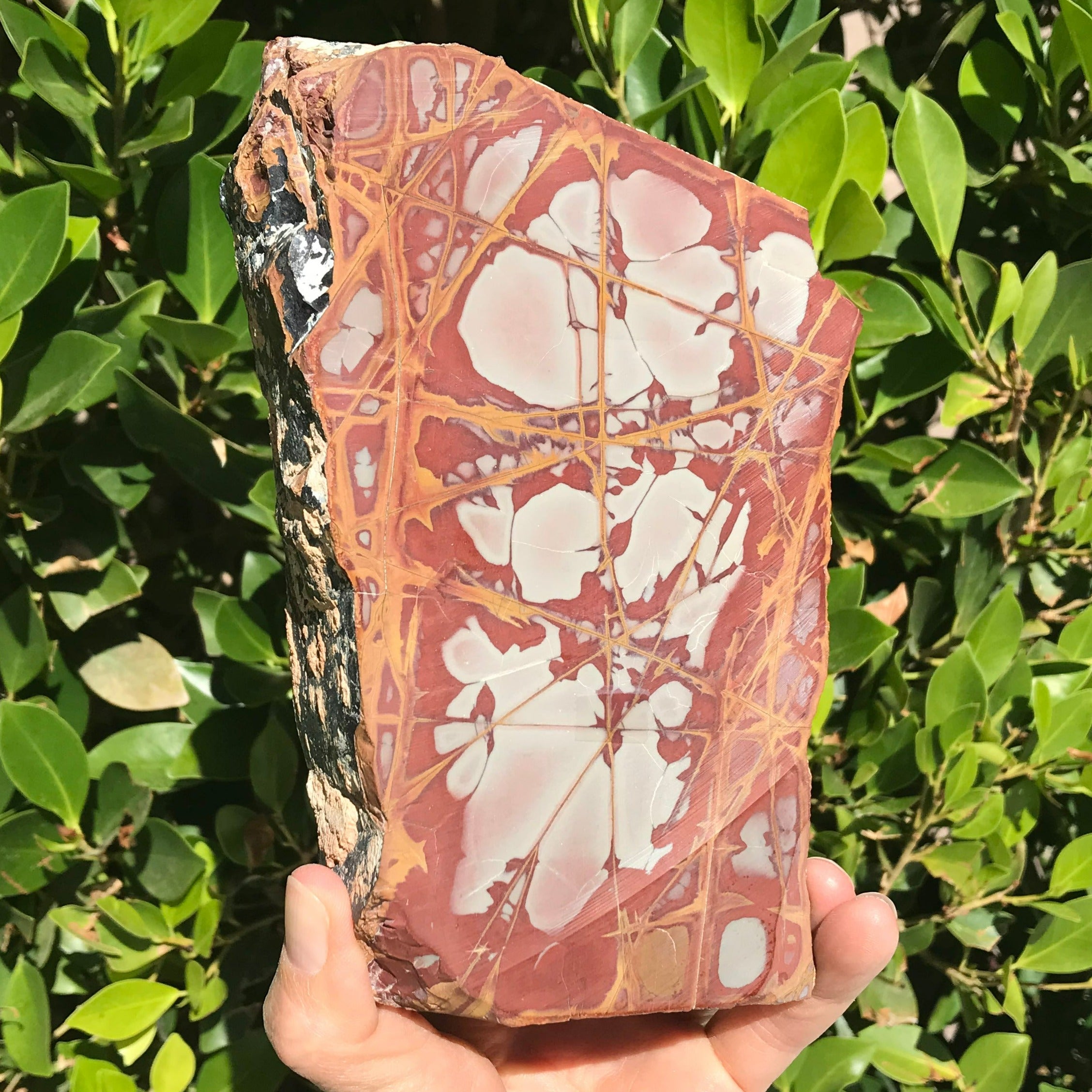 Noreena Jasper Slab