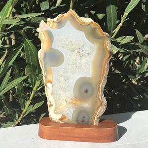 Glowing Brazilian Agate Slice