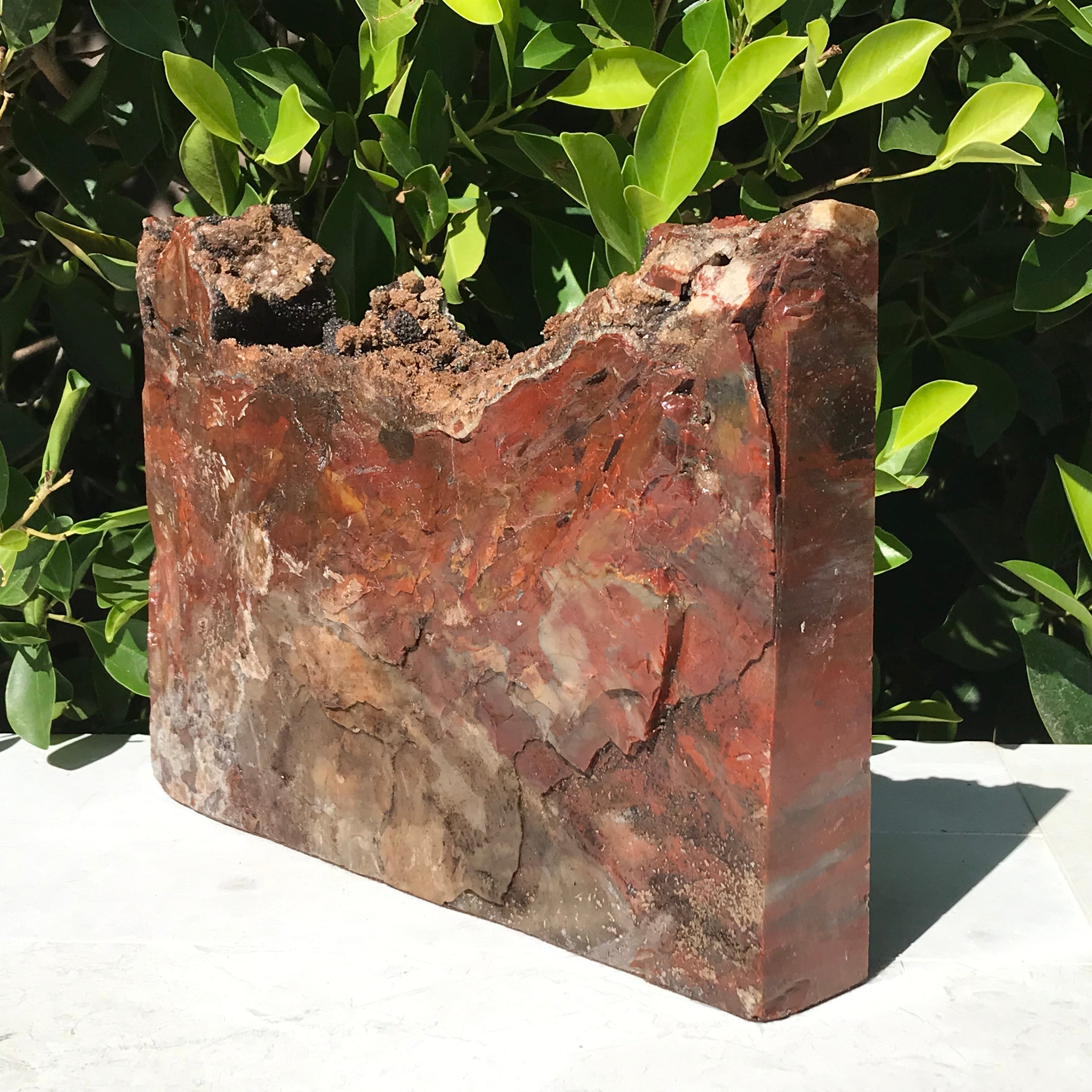 Arizona Rainbow Petrified Wood Slab
