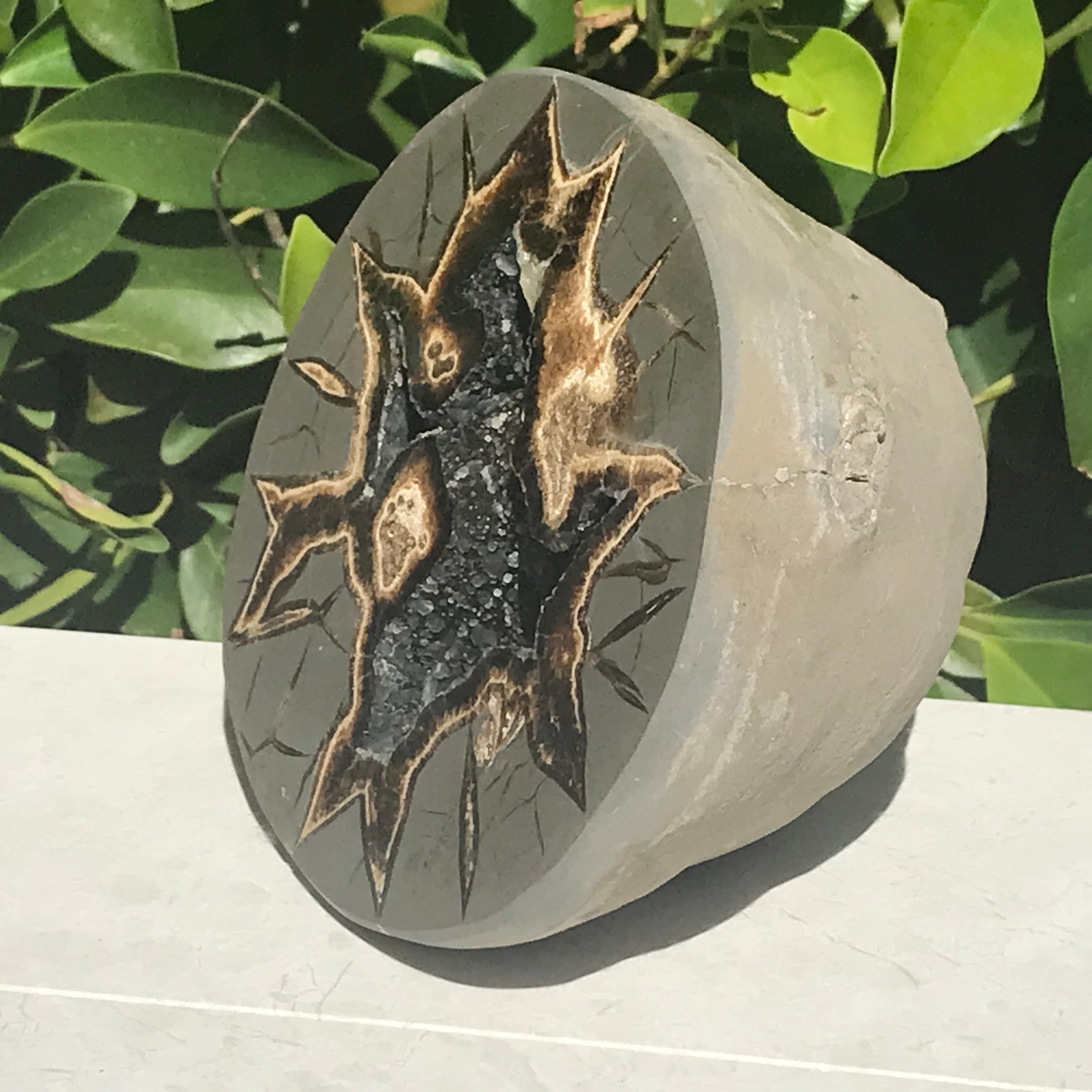Black Crystal Lined Septarian Geode
