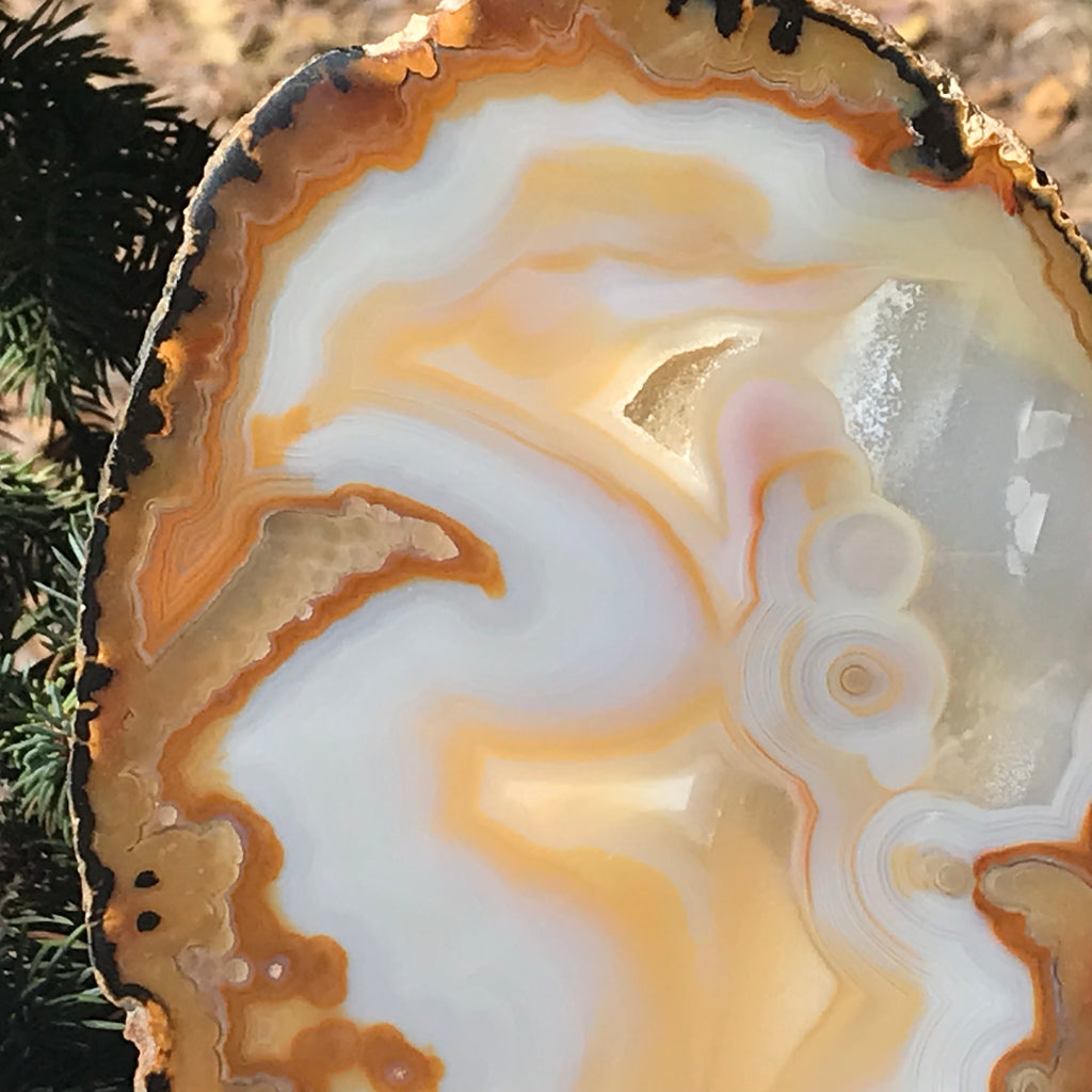 Gleaming Translucency Agate Slice