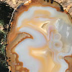 Gleaming Translucency Agate Slice
