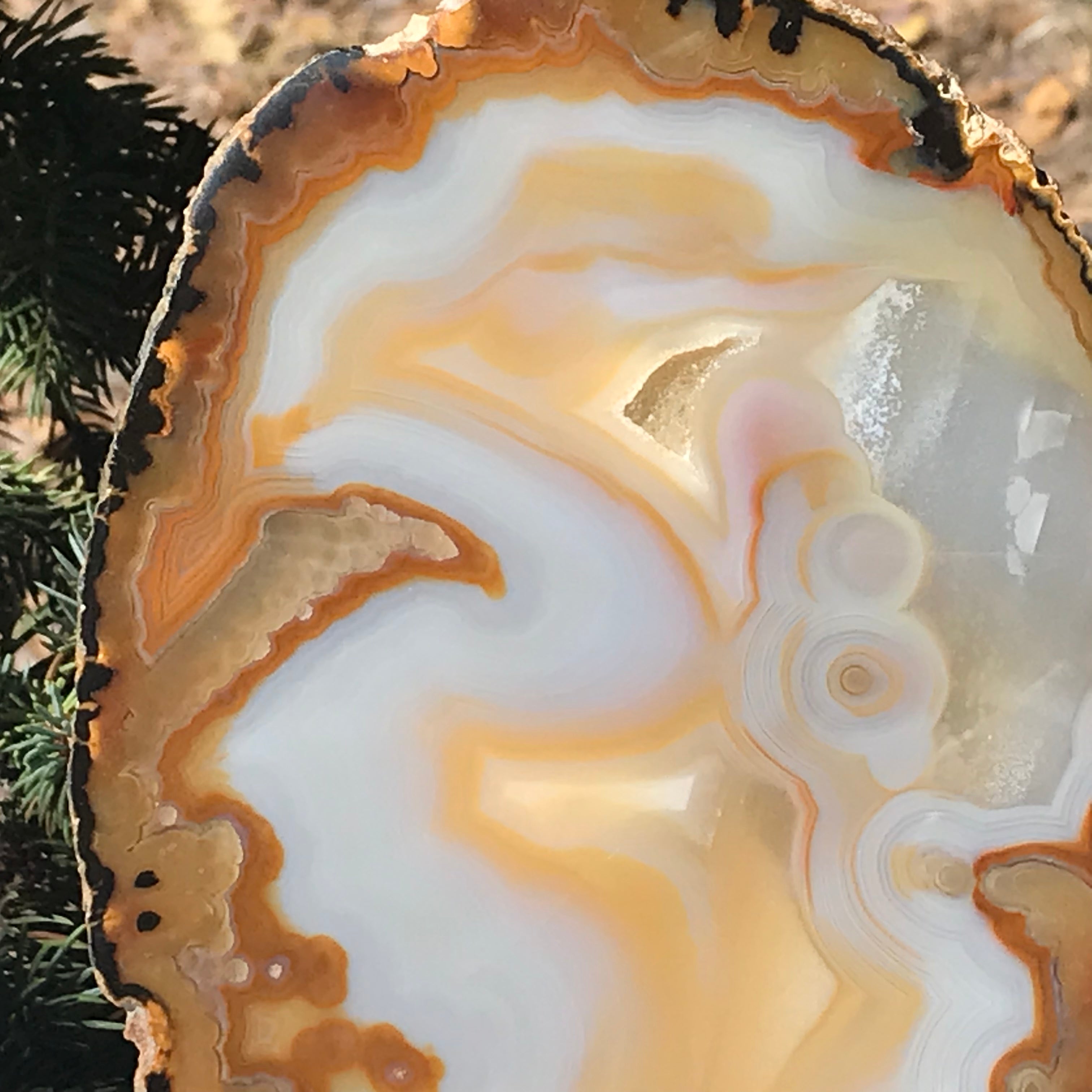 Gleaming Translucency Agate Slice
