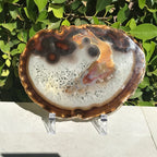 Hues of a Rainbow Agate Slice