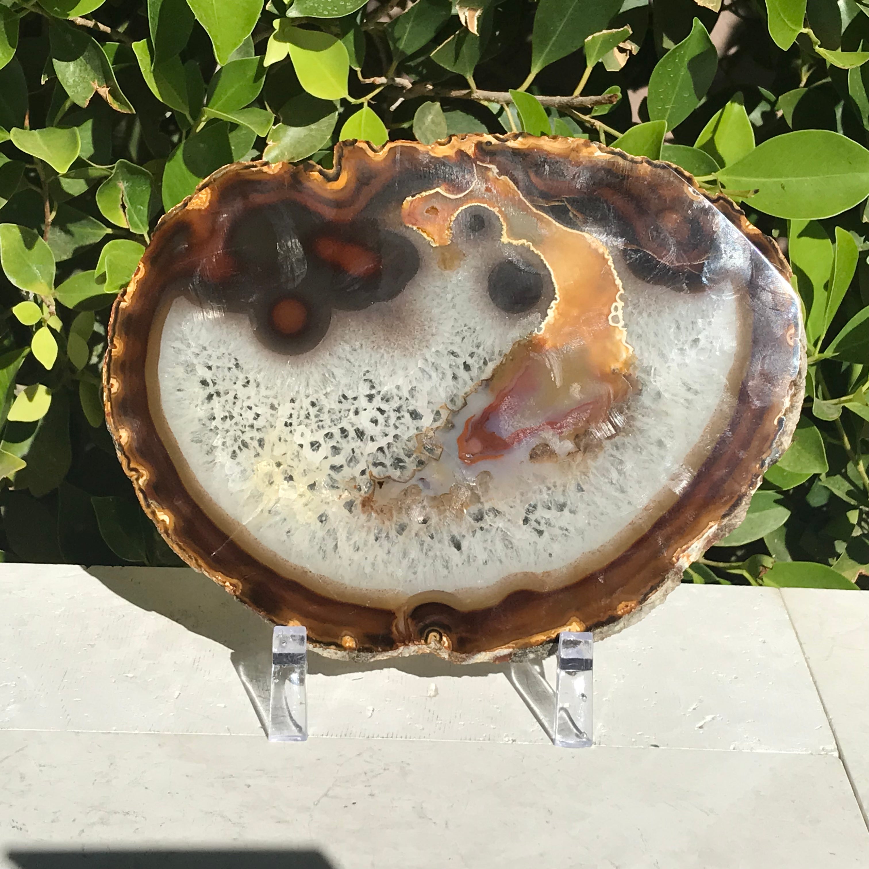 Hues of a Rainbow Agate Slice