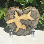 Crystal Filled Septarian Heart