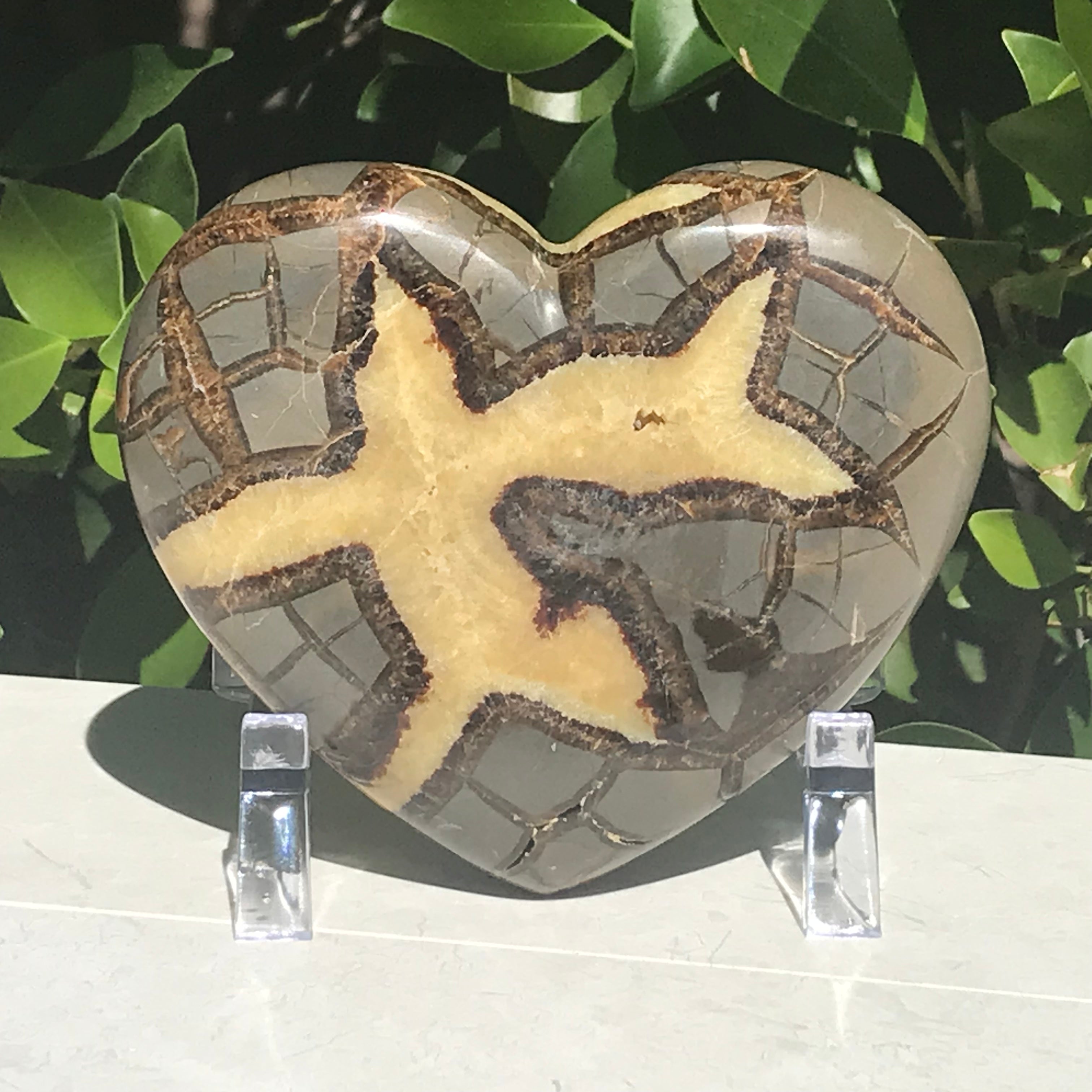 Crystal Filled Septarian Heart