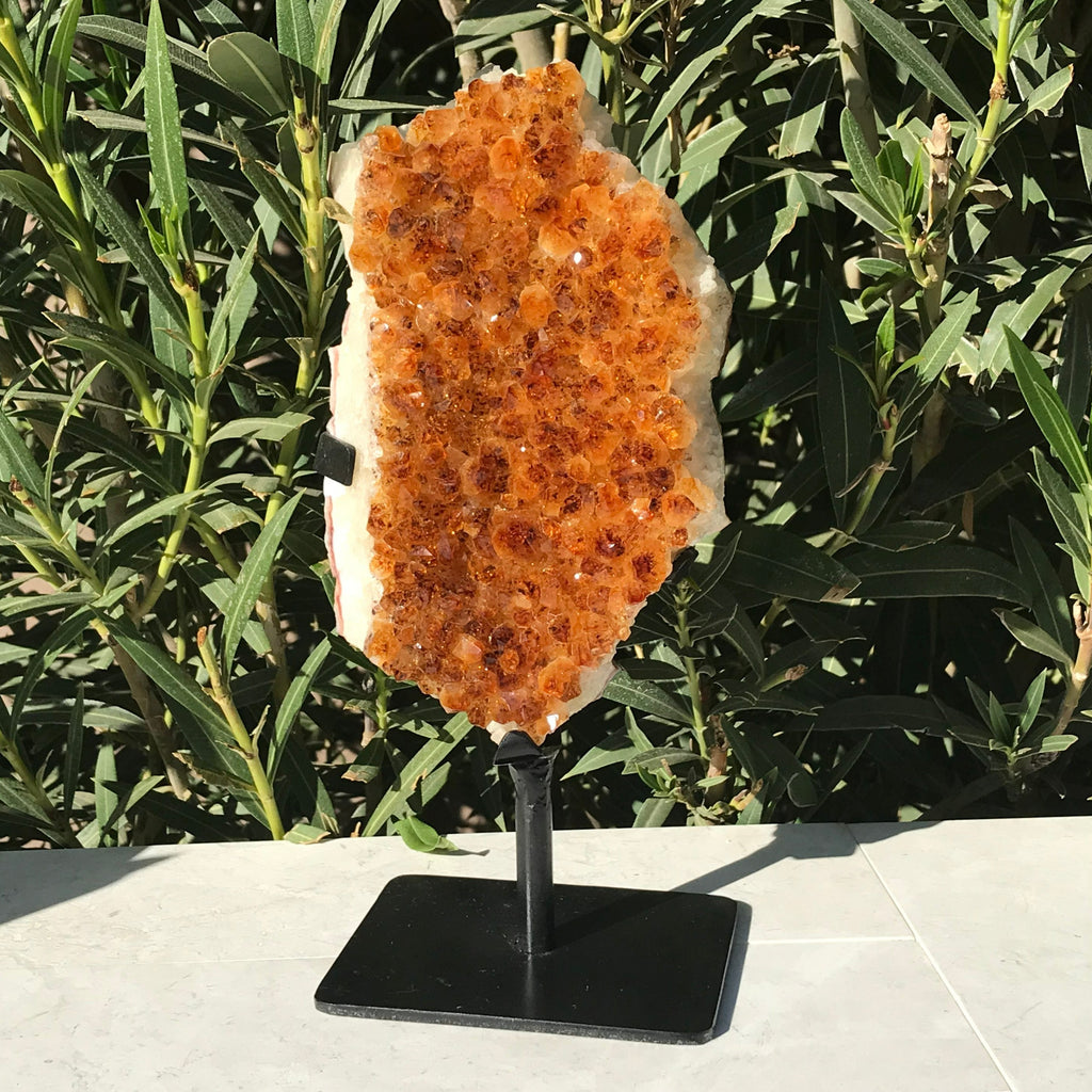 Standing Citrine Freeform