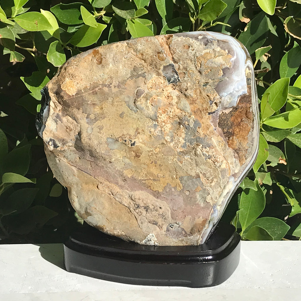 Stately Uruguayan Amethyst with Agate Eyes Freeform