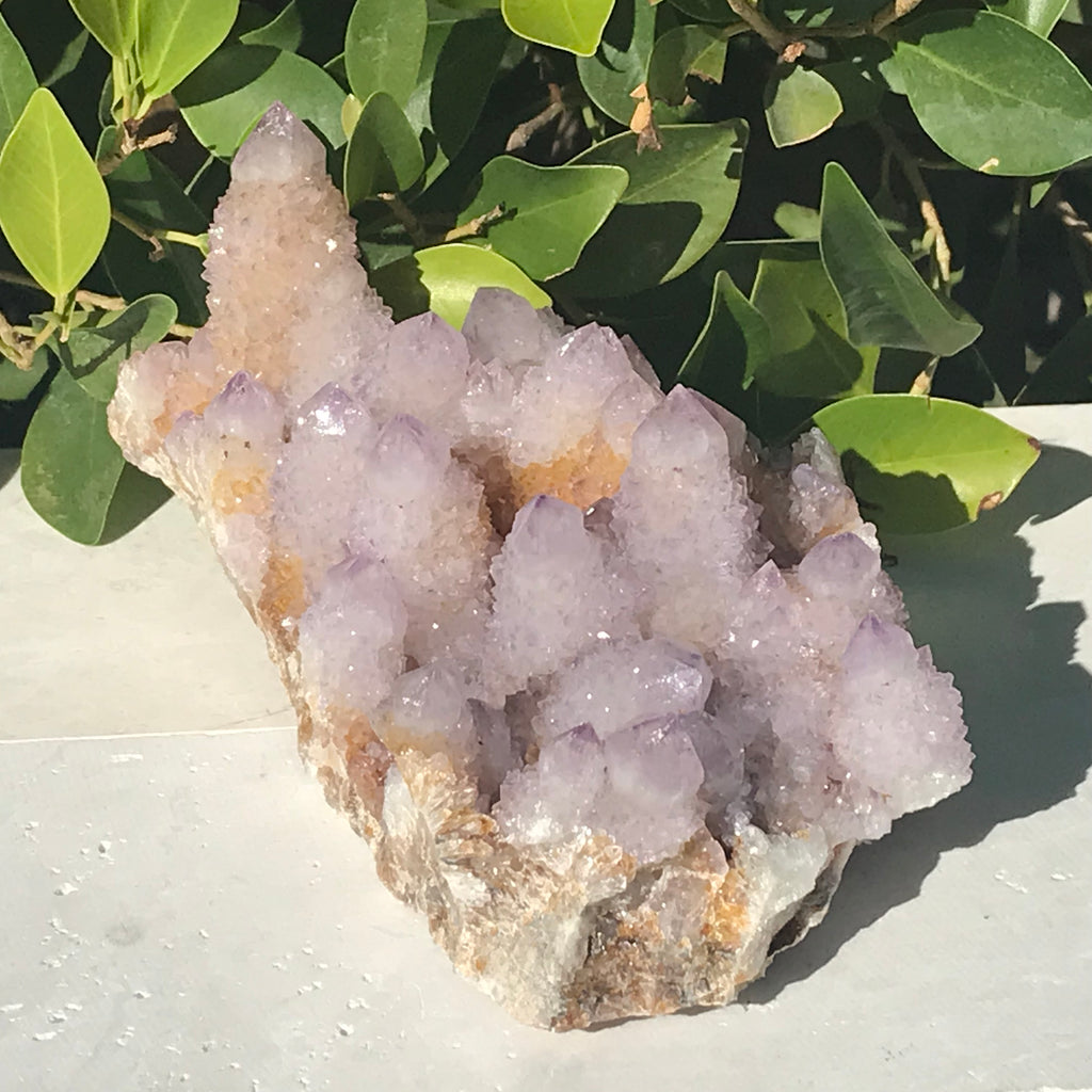Quartz Crystal Topped Cactus Quartz Slab