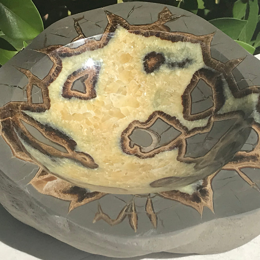 Ornately Patterned Septarian Bowl