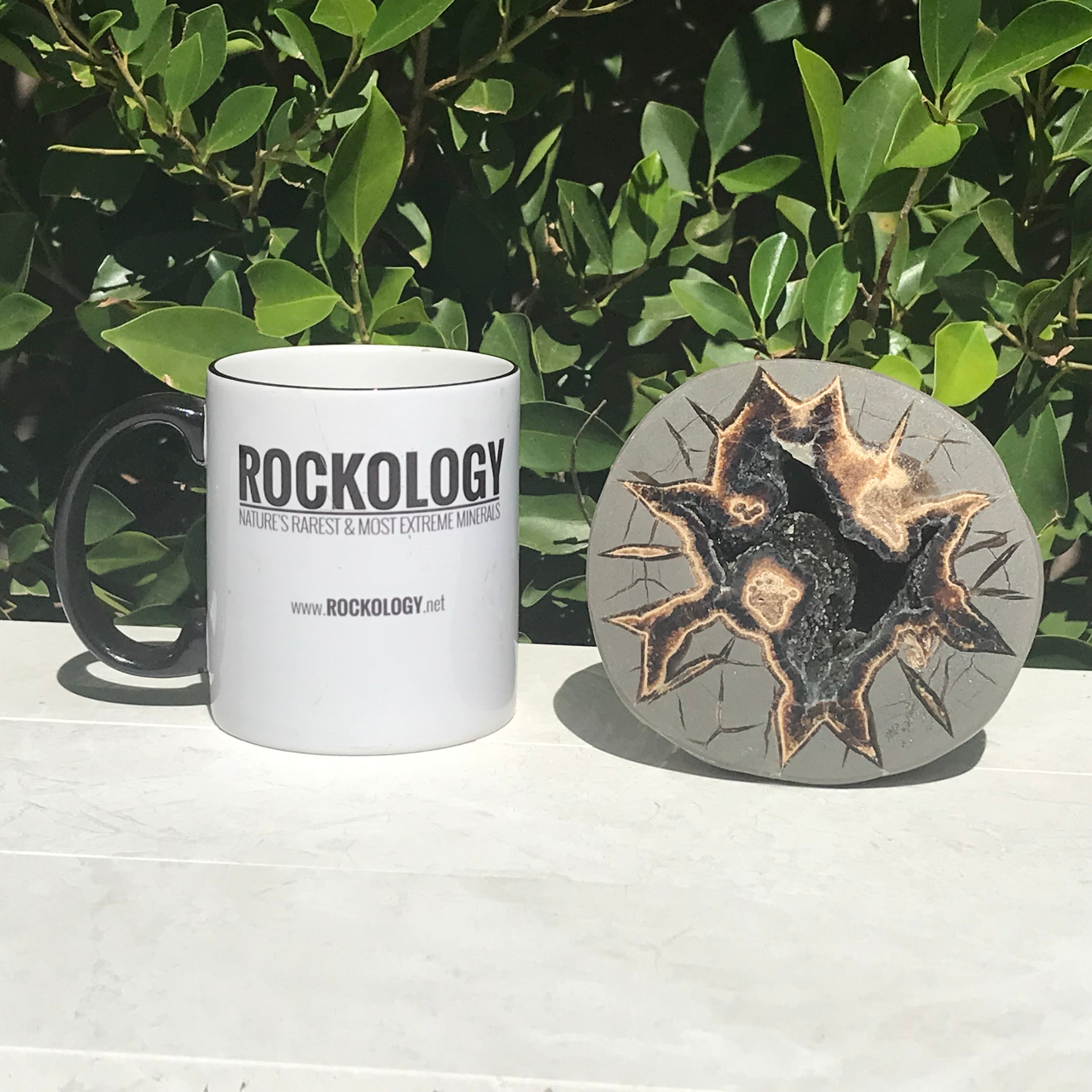 Black Crystal Lined Septarian Geode