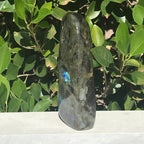 Tower of Blue Flash Labradorite