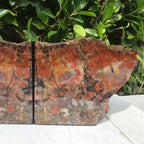 Arizona Rainbow Petrified Wood Bookends
