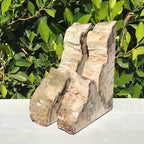 Petrified Cypress Wood Bookends