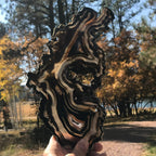 Multitude of Black Banding Agate Slice