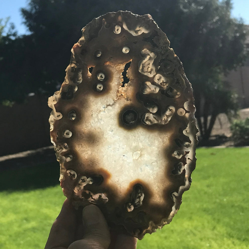 Red and Tan Banded Eyes Agate Slice
