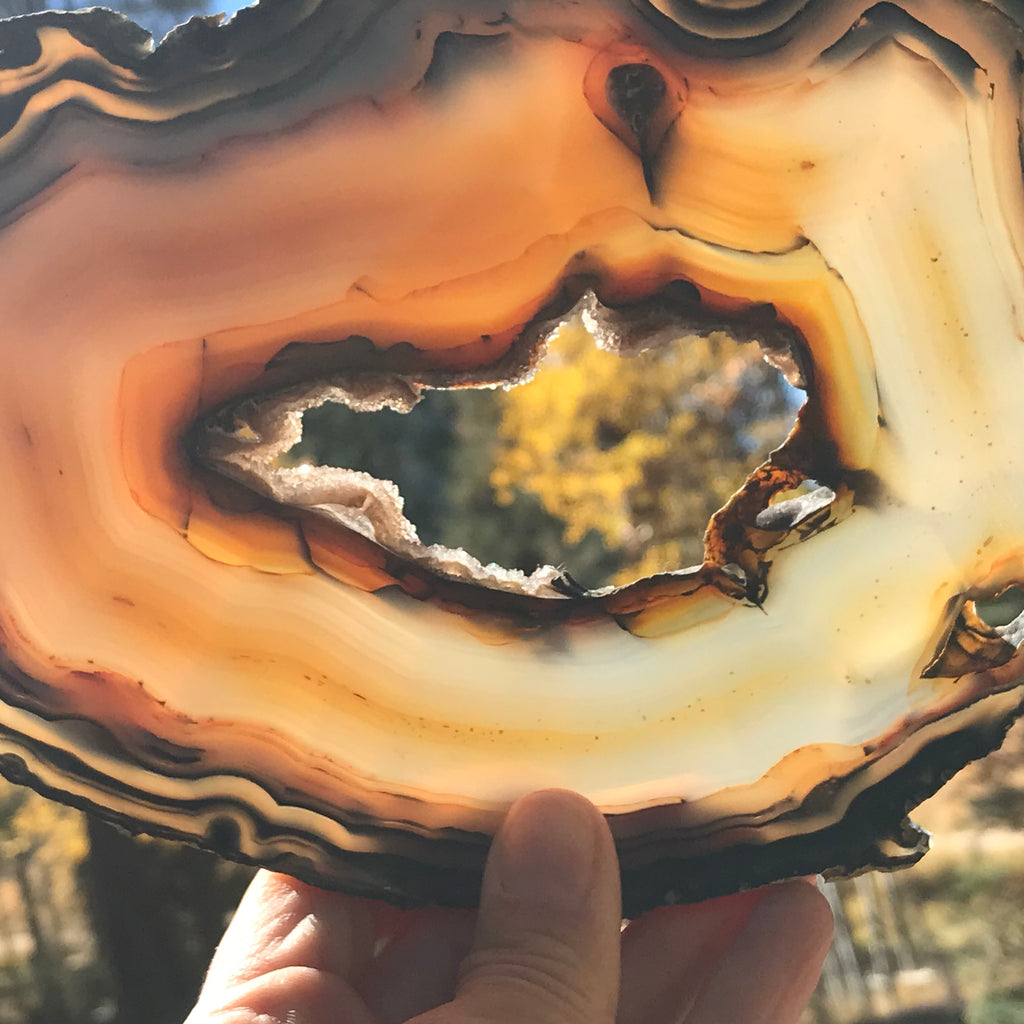 First of Twins Agate Slice