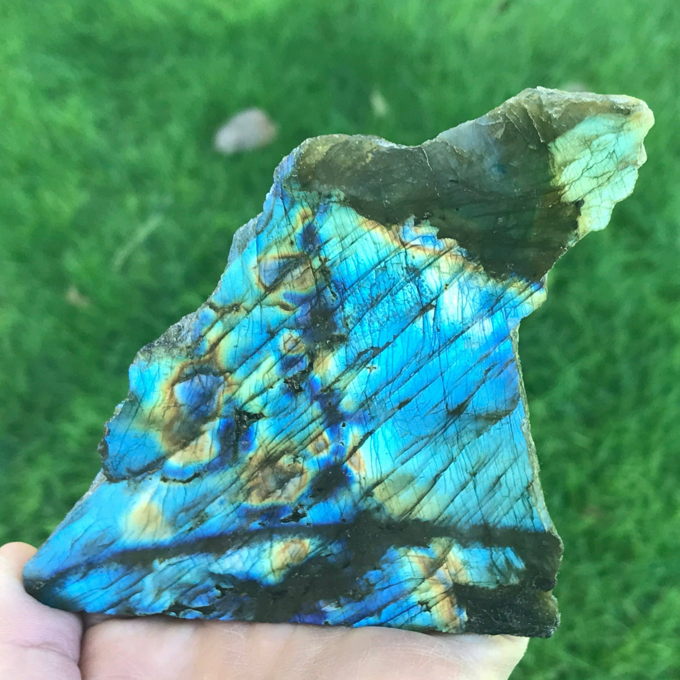 Rainbowed Labradorite Freeform