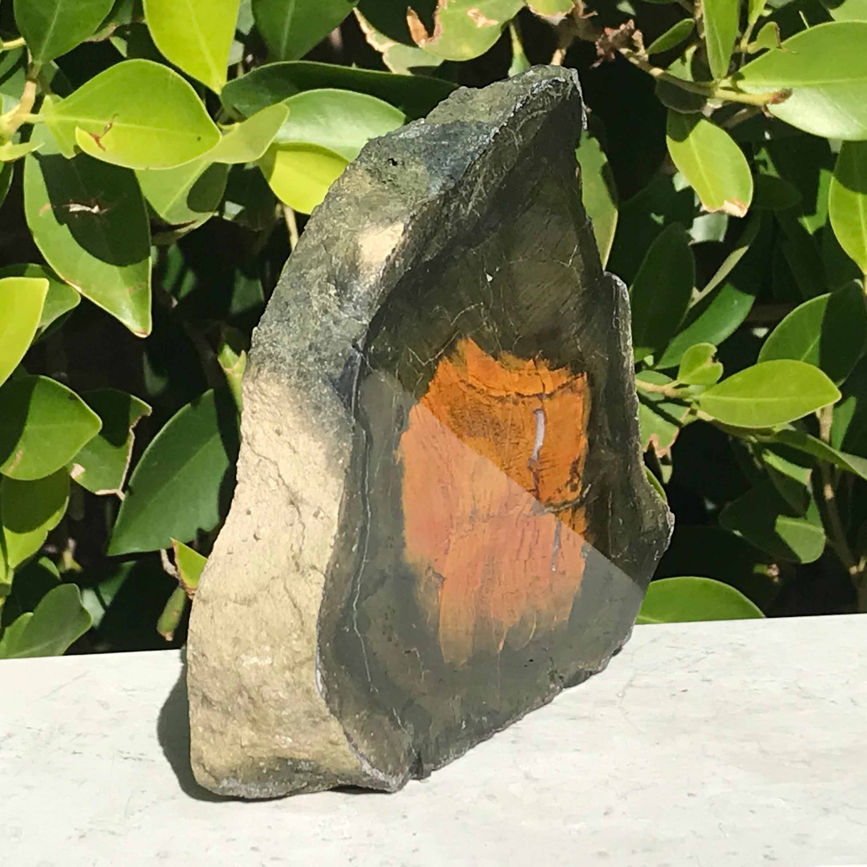 Petrified Boron Wood