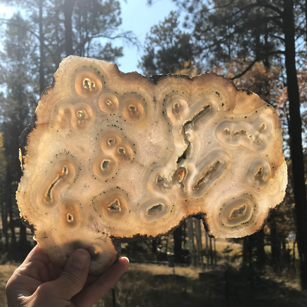 Multitude of Eyes Agate Slice