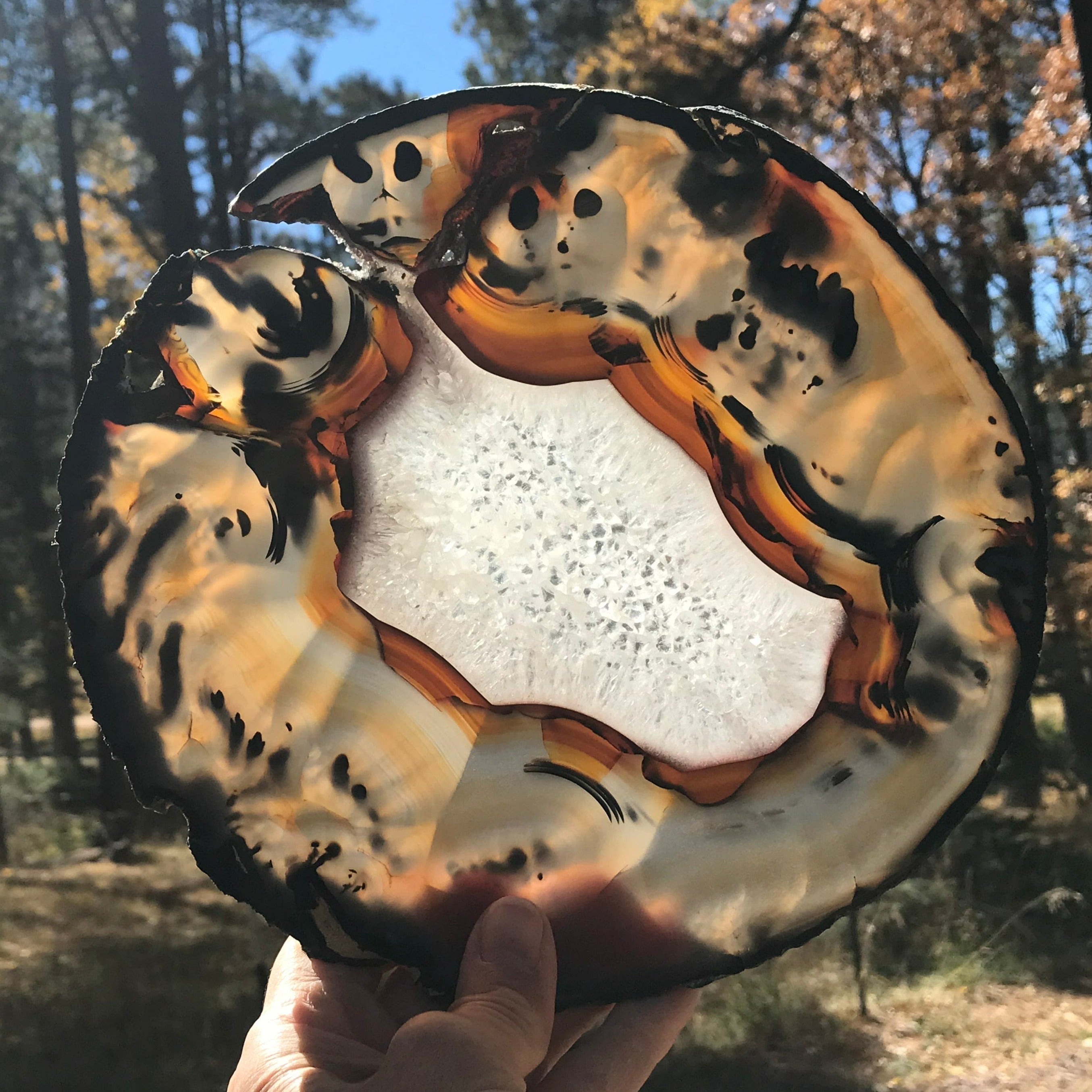 Exceptional Brazilian Agate Slice