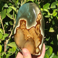 Polychrome Jasper Freeform