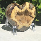 Crystal Filled Septarian Heart