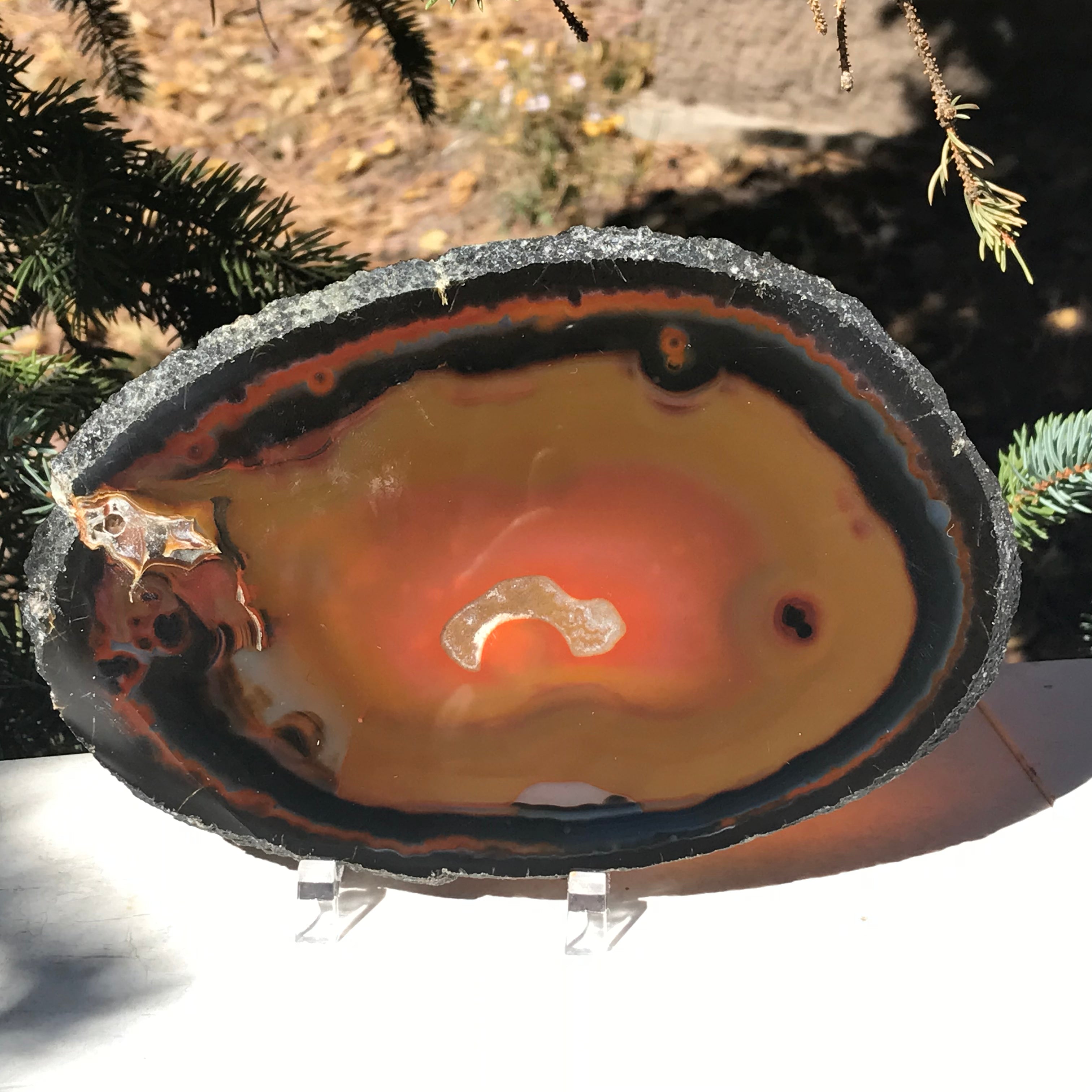 Dramatic Agate Slice