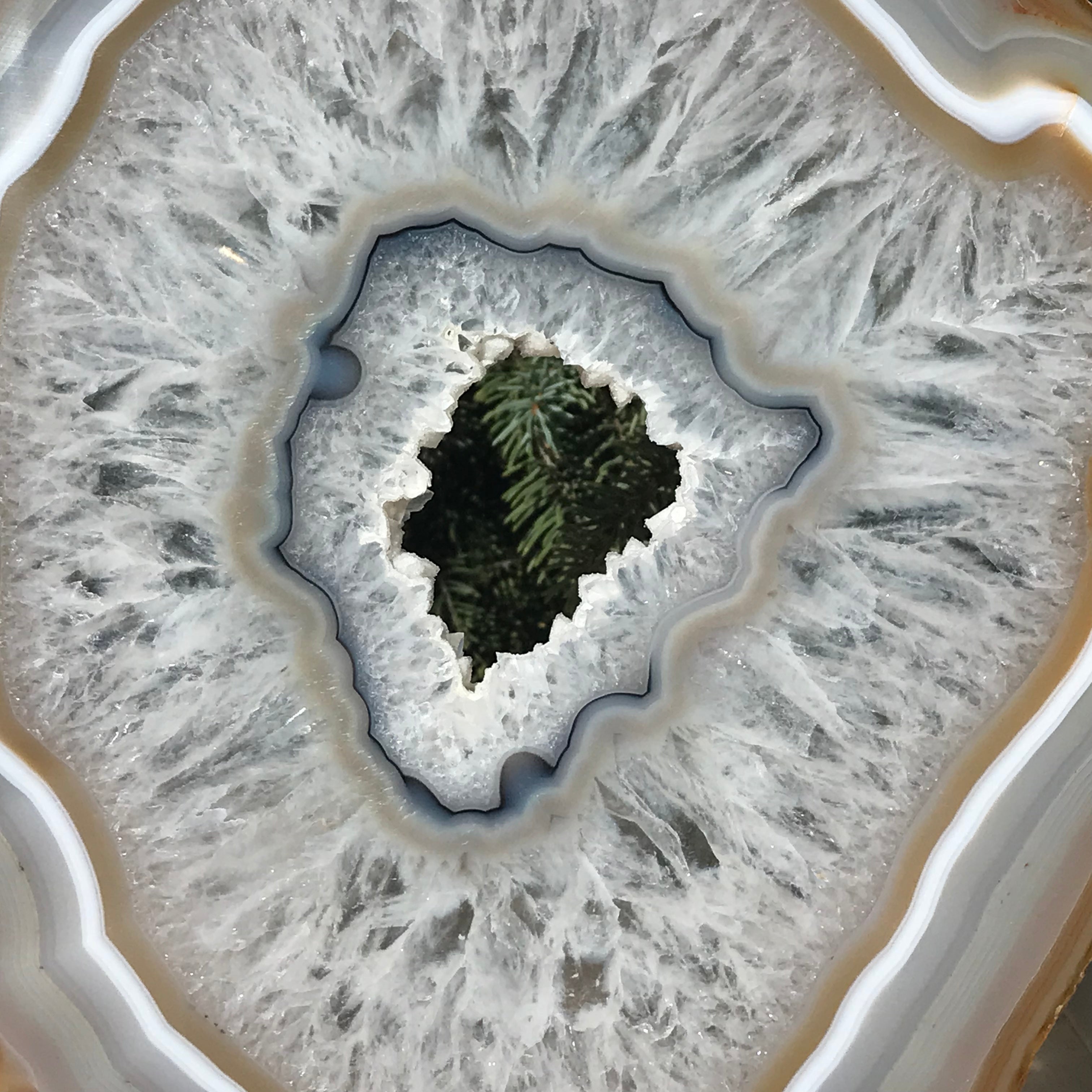 Consecutive Agate Slice #1