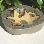 Ornately Patterned Septarian Bowl