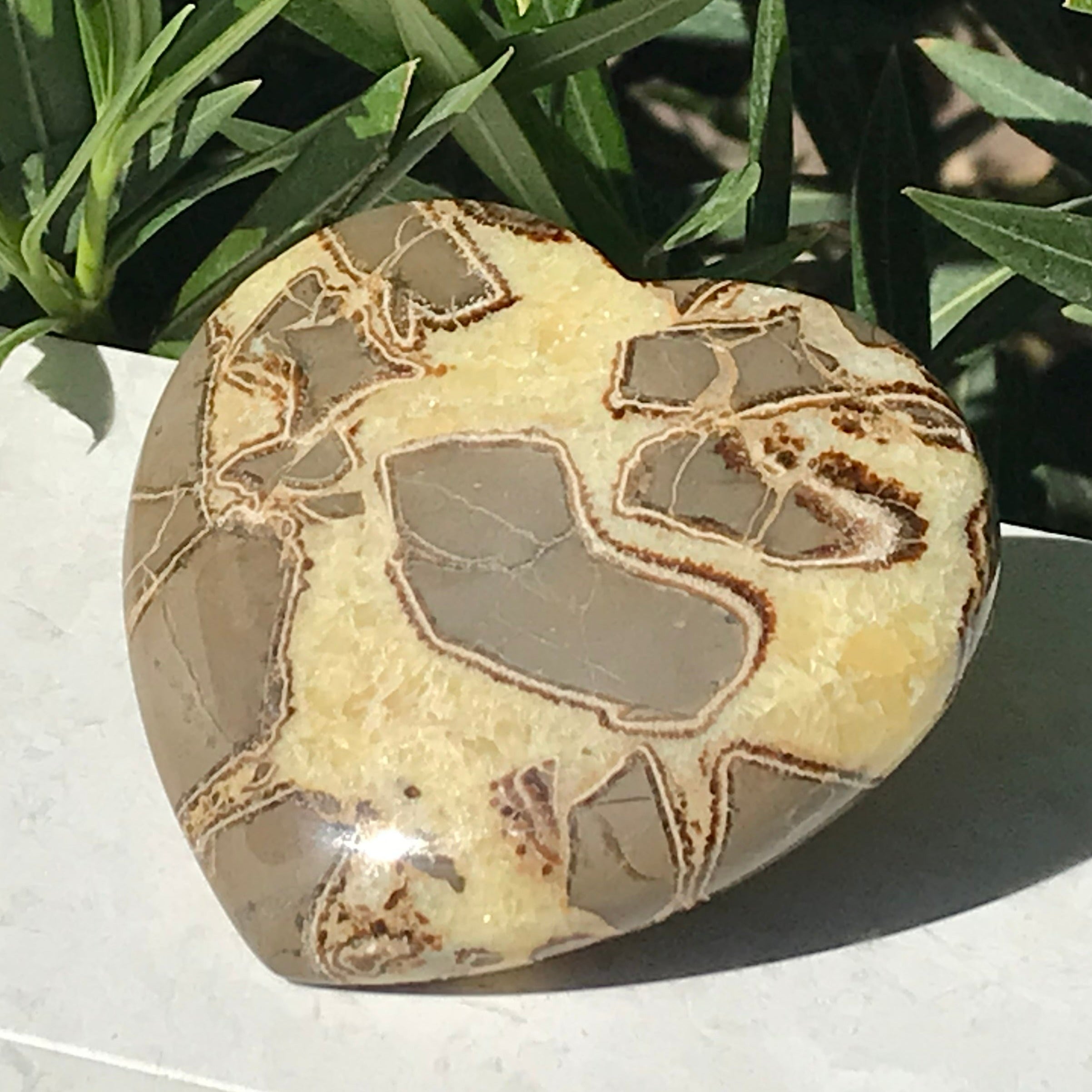Hand Polished Septarian Heart
