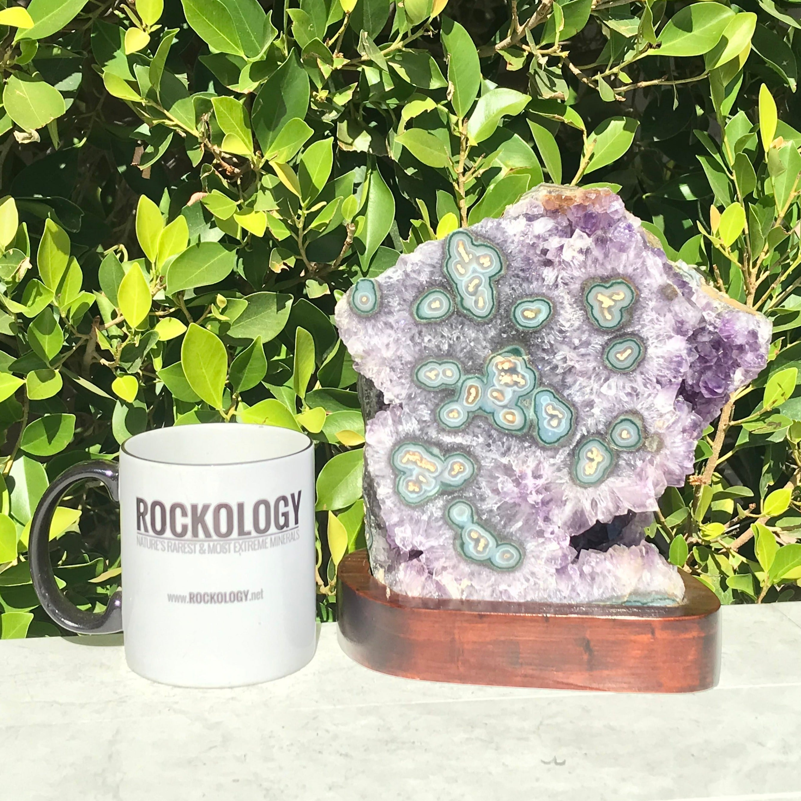 Green Eyed Agate /Amethyst Cluster