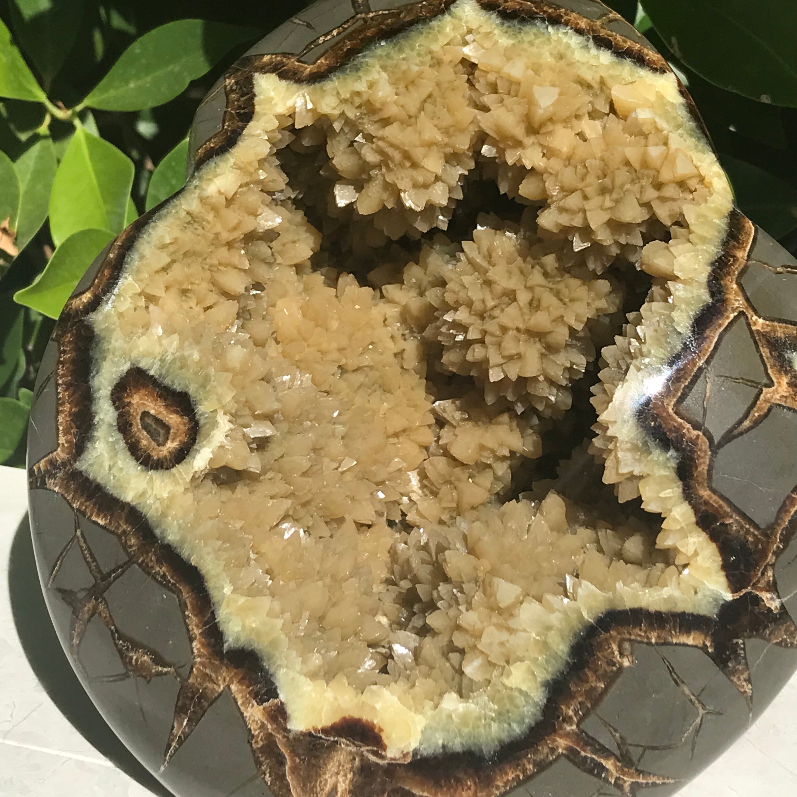 Polished Septarian Sculpture