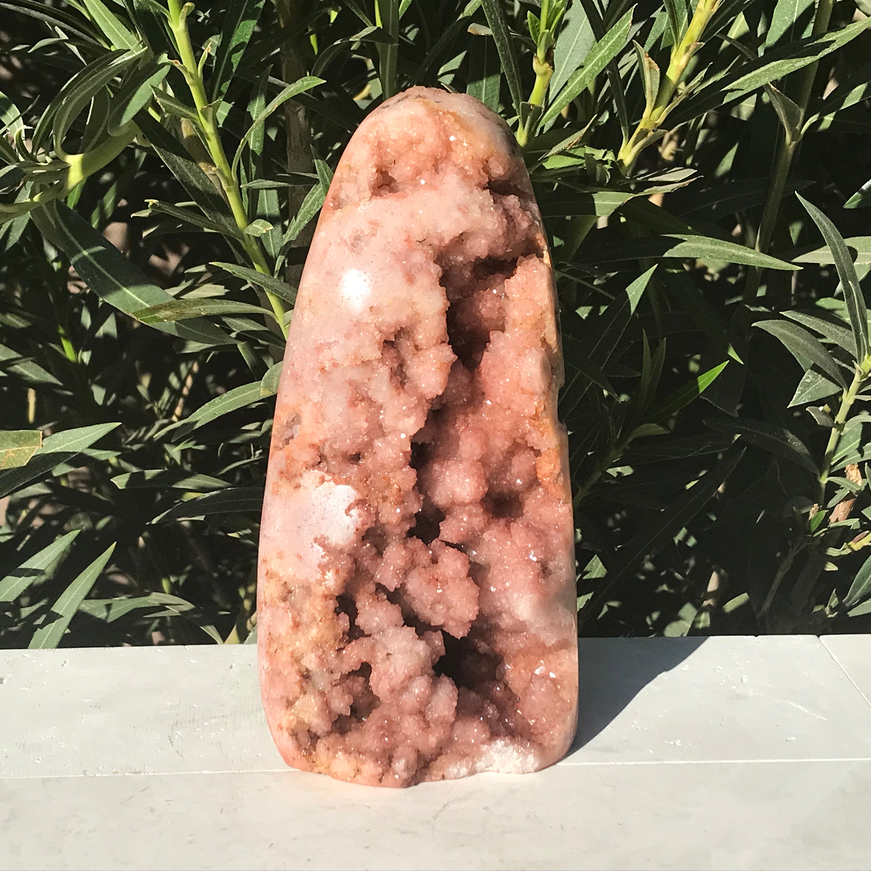 Tower of Rose Freeform
