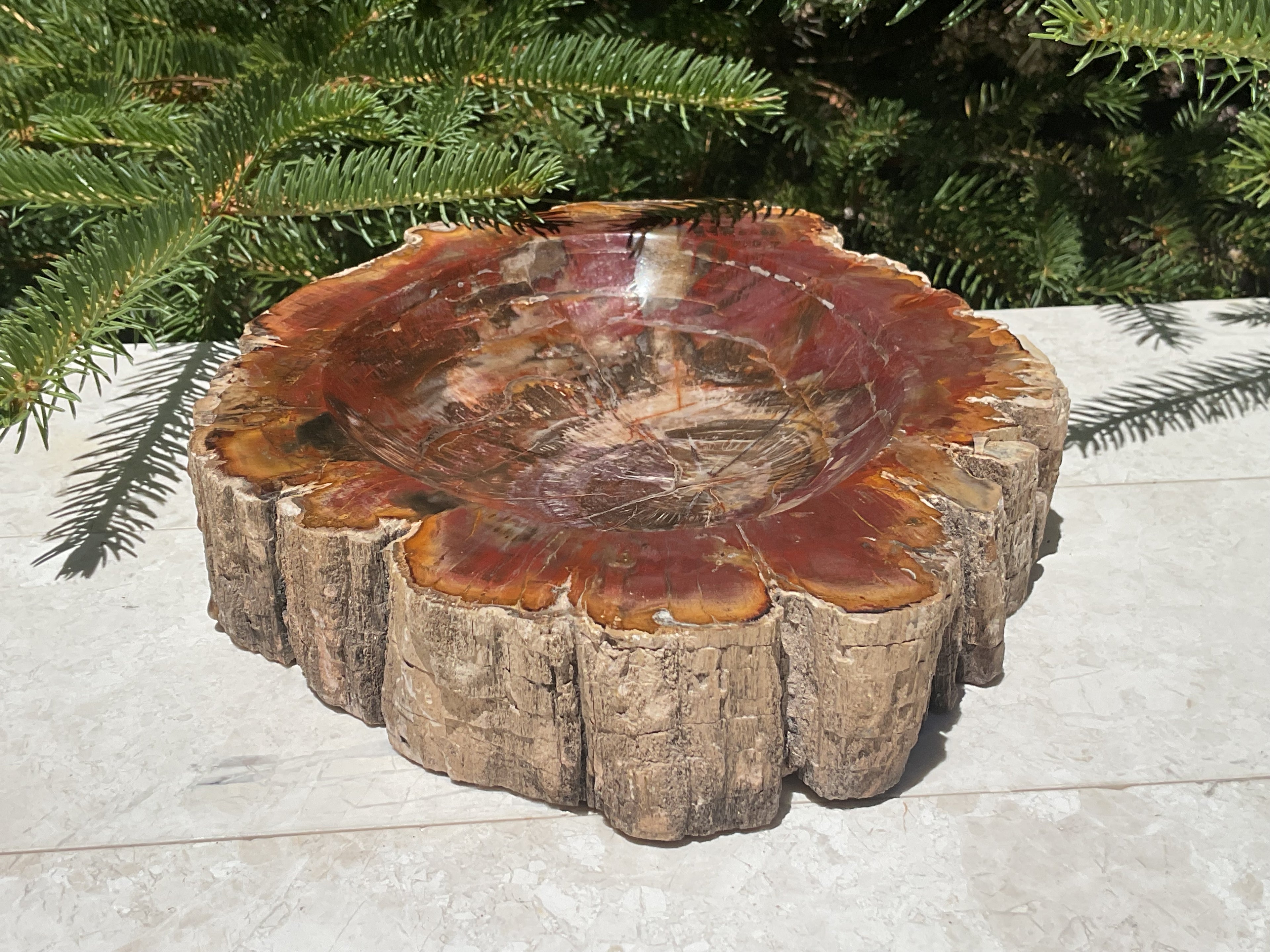 Bark Edged Petrified Wood Bowl