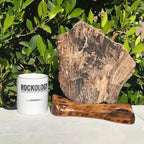 Petrified Wood Slab